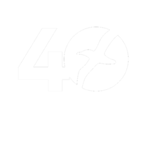 AlbatrosFilm | Magazine